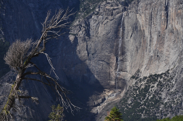 On Sentinel Dome